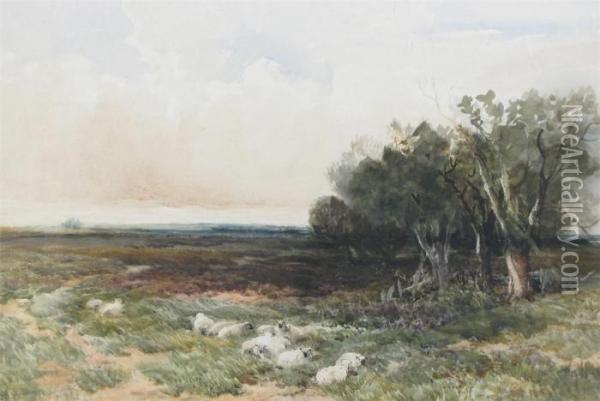 Across The Heath Oil Painting - Edmund Morison Wimperis