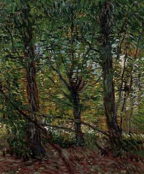 Trees And Undergrowth Oil Painting - Vincent Van Gogh