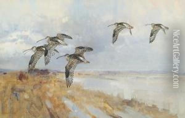 Snipes In Flight Oil Painting - Frank Southgate