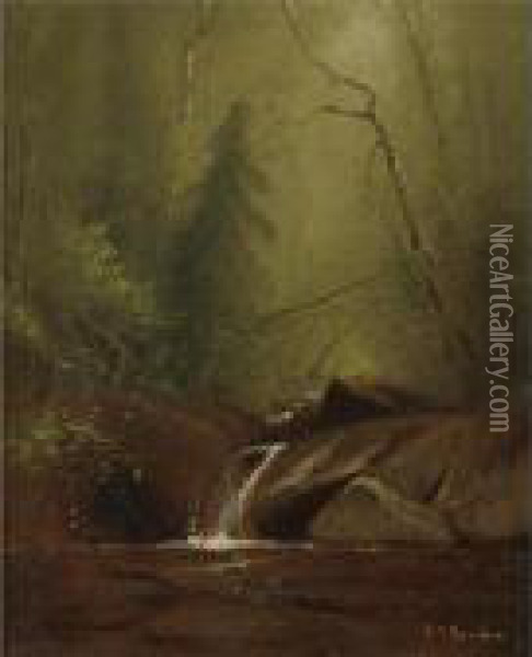 Falls Near Shokan, New York Oil Painting - Alfred Thompson Bricher