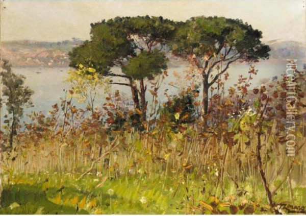Two Pines On The Hills Above Beylerbeyi, Istanbul Oil Painting - Fausto Zonaro