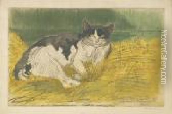 Le Vieux Chat. Oil Painting - Theophile Alexandre Steinlen