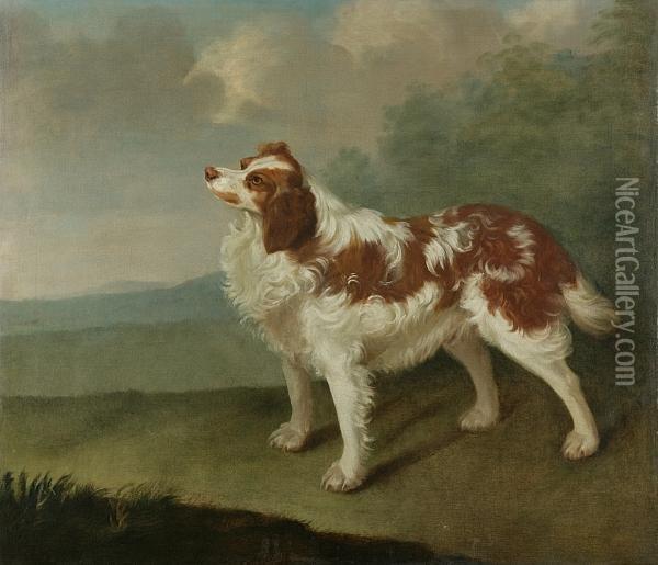 Spaniel In A Landscape Oil Painting - James Hagarty