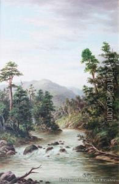 Rai Falls, Marlborough Oil Painting - William George Baker