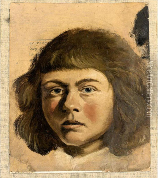 Head Of A Boy Oil Painting - Albert Eckhout