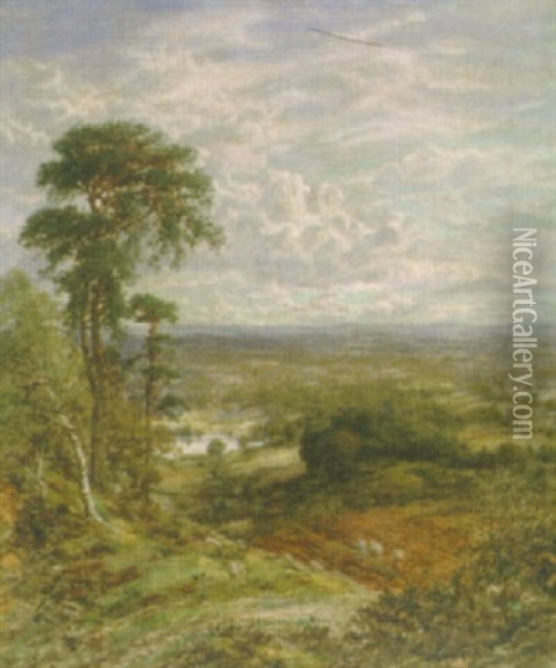An Extensive Landscape Oil Painting - George William Mote