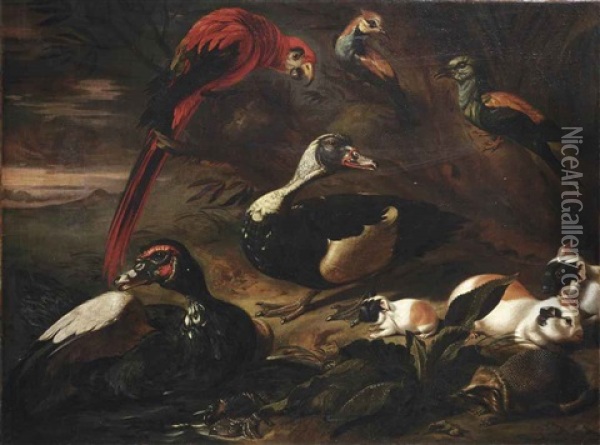 A Landscape With A Scarlet Macaw, Two Ducks, A Hedgehog, Three Guinea Pigs, A Crab And Other Birds Near A Stream Oil Painting - Jaques van de Kerckhove