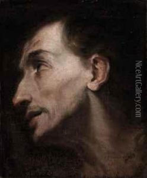 Study Of The Head Of A Saint Oil Painting - Carlo Vimercati