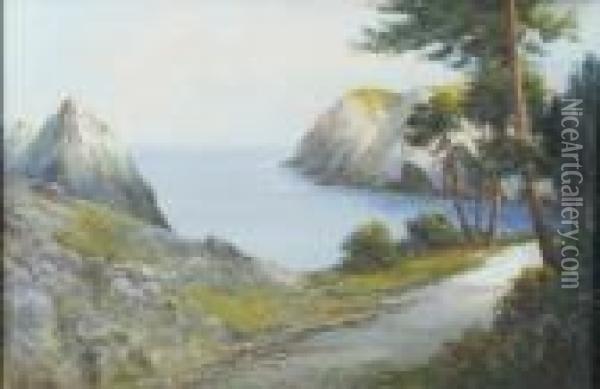 Coastal Road Oil Painting - Daniel Sherrin