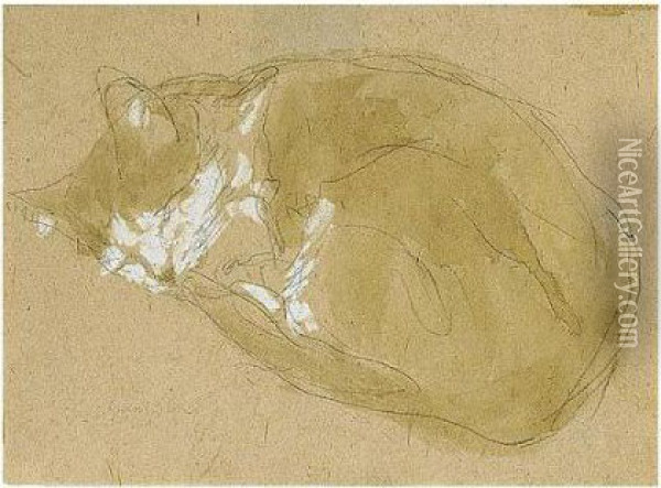 Cat Sleeping Oil Painting - Gwendolen John