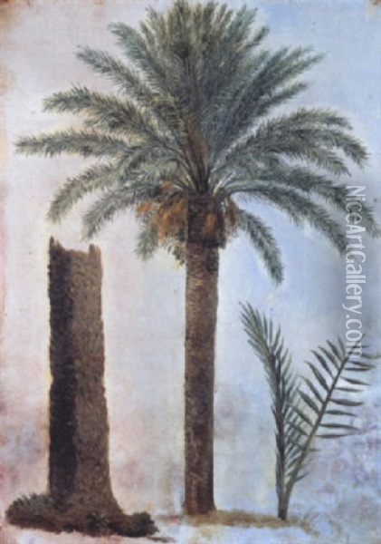 Etudes De Palmiers Oil Painting - Simon-Joseph-Alexandre Clement Denis