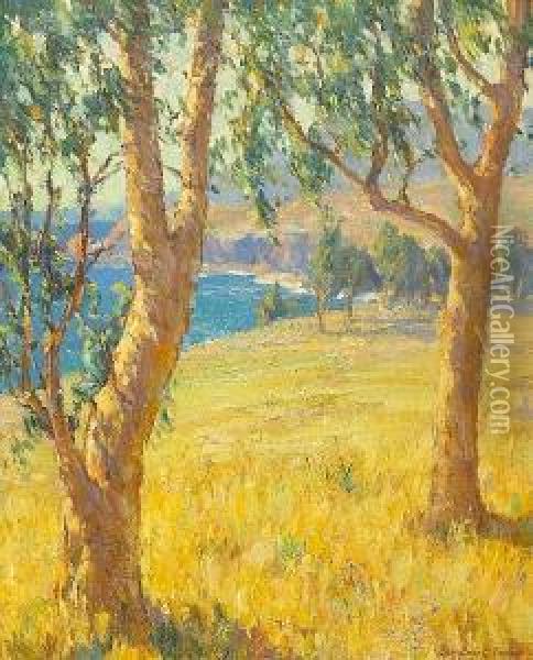 Eucalypti Near Arch Beach, California Oil Painting - Benjamin Chambers Brown