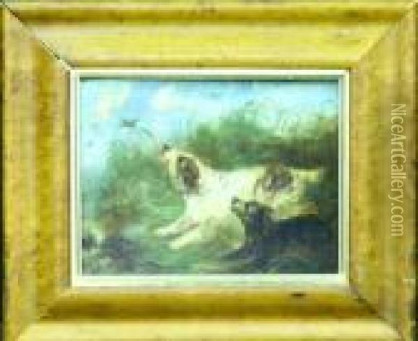 Spaniels Flushing Duck Oil Painting - George Armfield