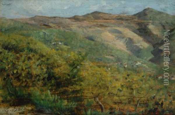 Paesaggio Assolato Oil Painting - Luigi Bechi