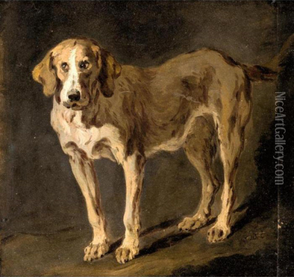 Portrait Of A Hound Oil Painting - Jean-Baptiste Huet I