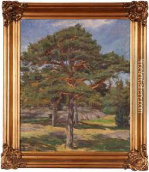Furutraer Oil Painting - Thorvald Hagbart Torgersen