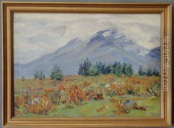 Mountain Landscape Oil Painting - Mary Cable Butler