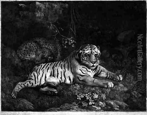 Two Tygers, engraved by the artist, pub. 1788 Oil Painting - George Stubbs