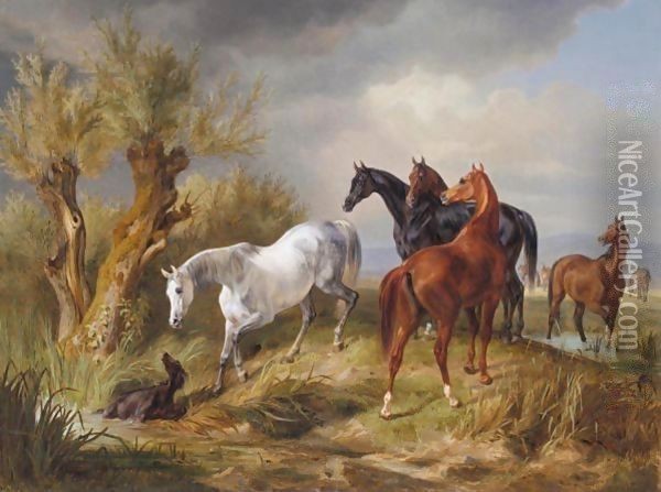 Vollbluter Auf Der Weide (Thoroughbreds In A Pasture) Oil Painting - Adam Albrecht
