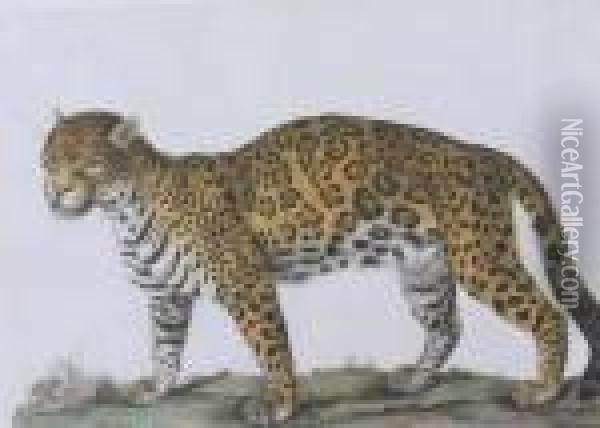 Un Jaguar De Profil A Gauche Oil Painting - Leon De Wailly