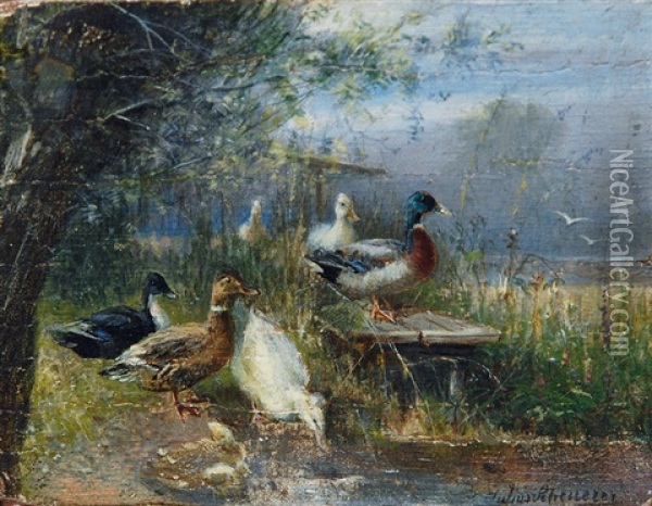 Ducks At The Lake Oil Painting - Julius Scheuerer