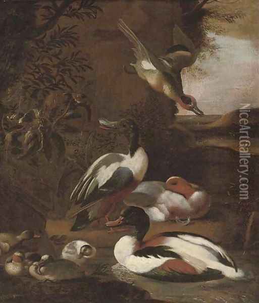 Ducks in a landscape Oil Painting - Willem Frederik van Royen