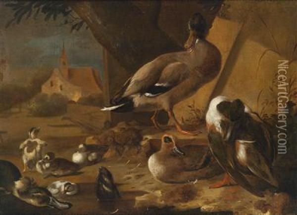 Ducks Near A Pool Oil Painting - Melchior de Hondecoeter