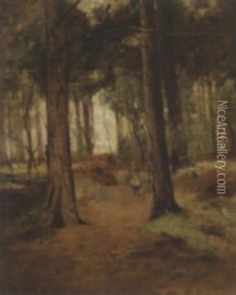 A Young Child In A Wood Oil Painting - Thomas Bunting