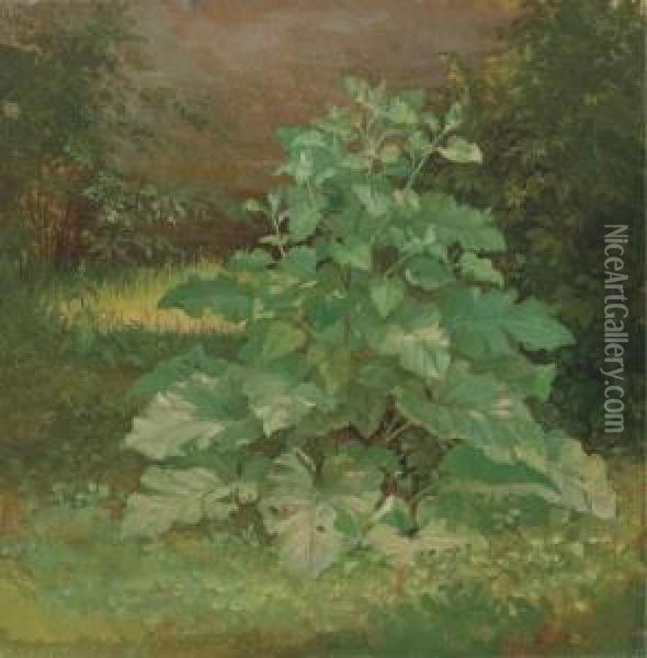 Burdock Plant Oil Painting - William Holbrook Beard