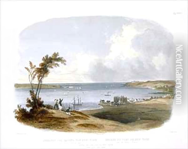 Entry to the Bay of New York taken from Staten Island Oil Painting - Karl Bodmer