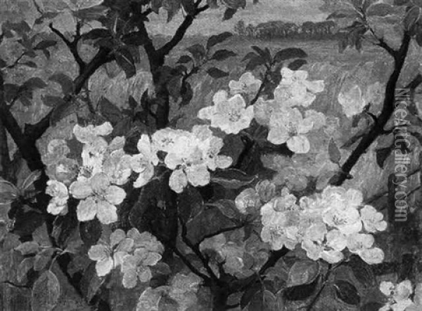 Appelbloesem Oil Painting - Johanna Georgine Haverkamp-Machwirth