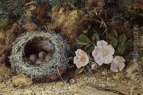 Bird nest and briar roses Oil Painting - W. M. Arundale