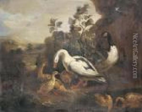 Ducks And A Goose In A Landscape Oil Painting - Pieter III Casteels