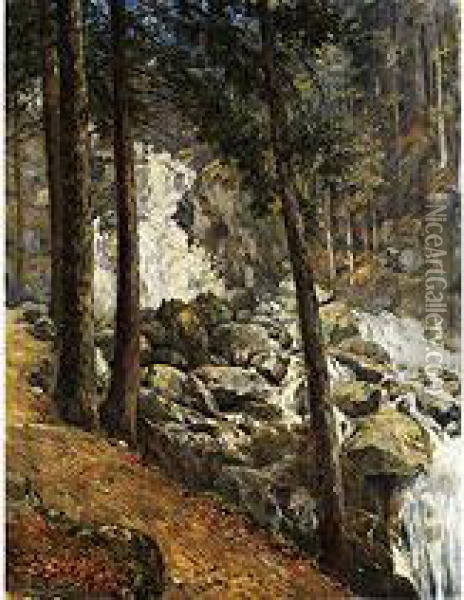 Waldlandschaft Mit Blick Auf Einen Felsigen Wasserfall Unter Baumen Oil Painting - Friedrich Wilhelm Schreiner
