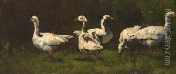 Study Of Geese Oil Painting - Elliott Daingerfield