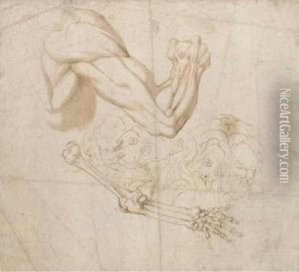 An Ecorche Study Of A Shoulder And Right Arm And Studies Of Thebones Of The Right Arm And Of Five Heads Oil Painting - Bartolomeo Torri