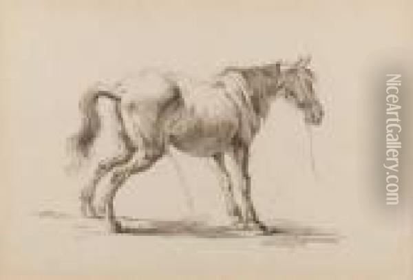 A Standing Horse Urinating Oil Painting - Eugene von Guerard