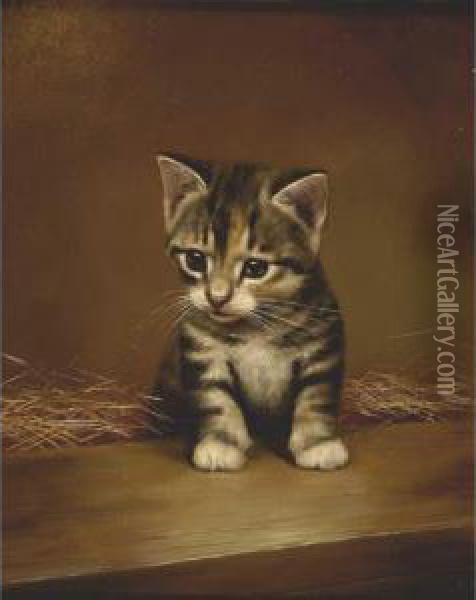 Grey And White Kitten Just Observing Oil Painting - Bessie, Betsie Bamber
