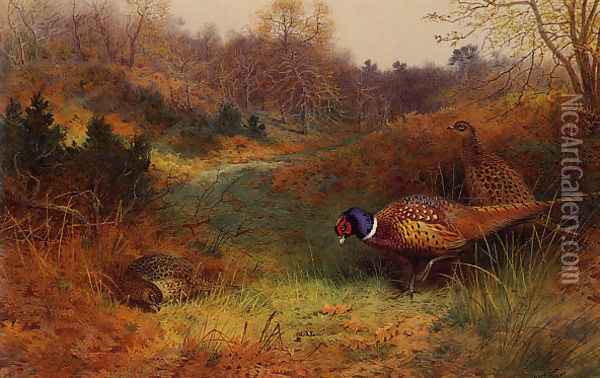 Autumn Sunshine Oil Painting - Archibald Thorburn