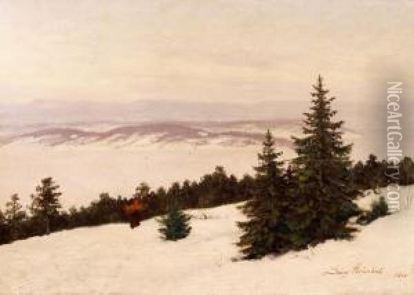 Utsyn Fra Nordstrand 1900 Oil Painting - Georg Fred. Nielsen Stromdal