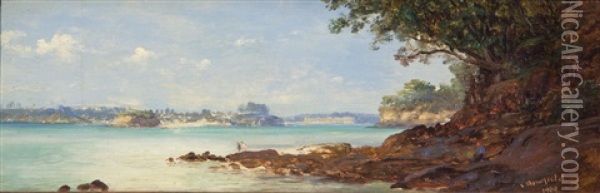 Auckland From The North Shore Oil Painting - Charles Blomfield