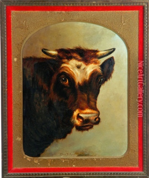 Portrait Of A Cow Oil Painting - Ellen Francis Burpee Farr