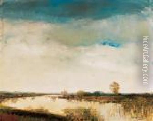 Marshland Oil Painting - Laszlo Mednyanszky