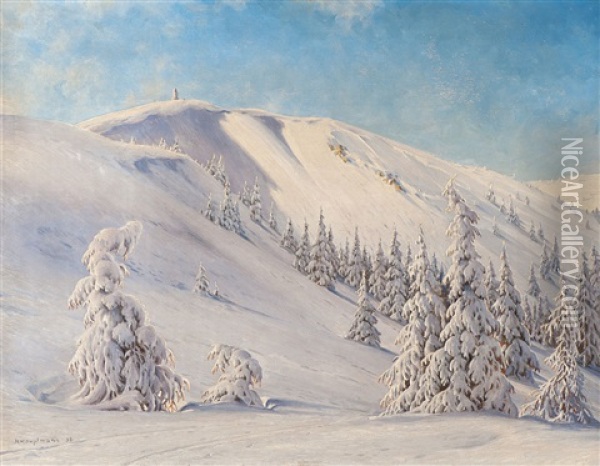 Feldberg Im Winter Oil Painting - Karl Hauptmann