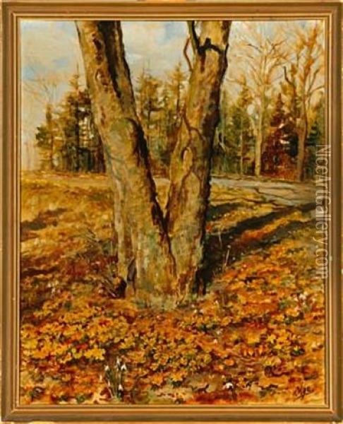 A Spring Forest In Denmark Oil Painting - Olga Rozanova