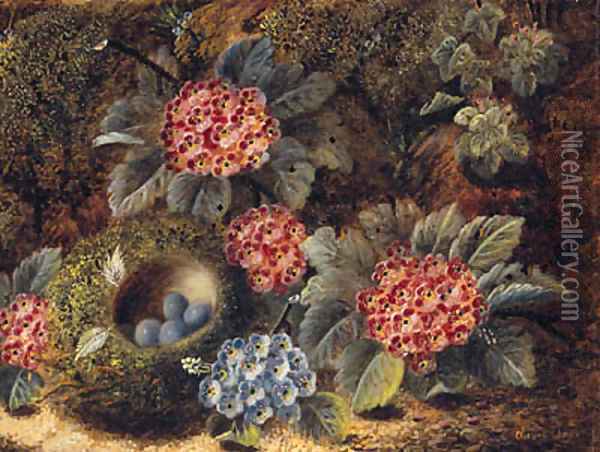 Primulas And A Bird'S Nest With Eggs, On A Mossy Bank Oil Painting - Oliver Clare