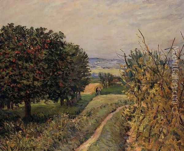 Among the Vines near Louveciennes Oil Painting - Alfred Sisley