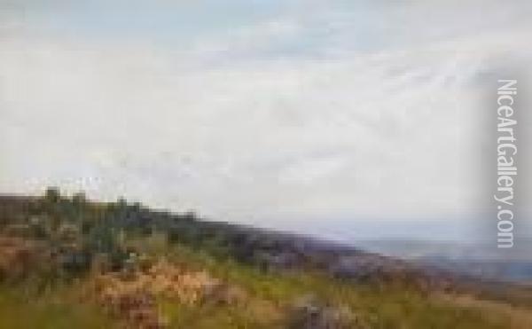 Slopes Of Dunkery Exmoor Oil Painting - Frederick John Widgery