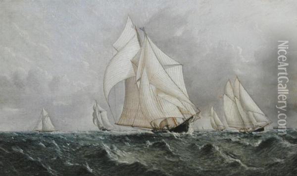 Yacht Ambassadress Oil Painting - James Buttersworth