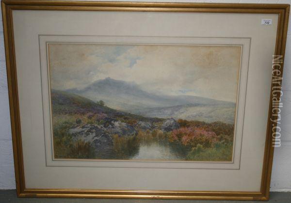 Extensive Moorland View Oil Painting - Frederick John Widgery